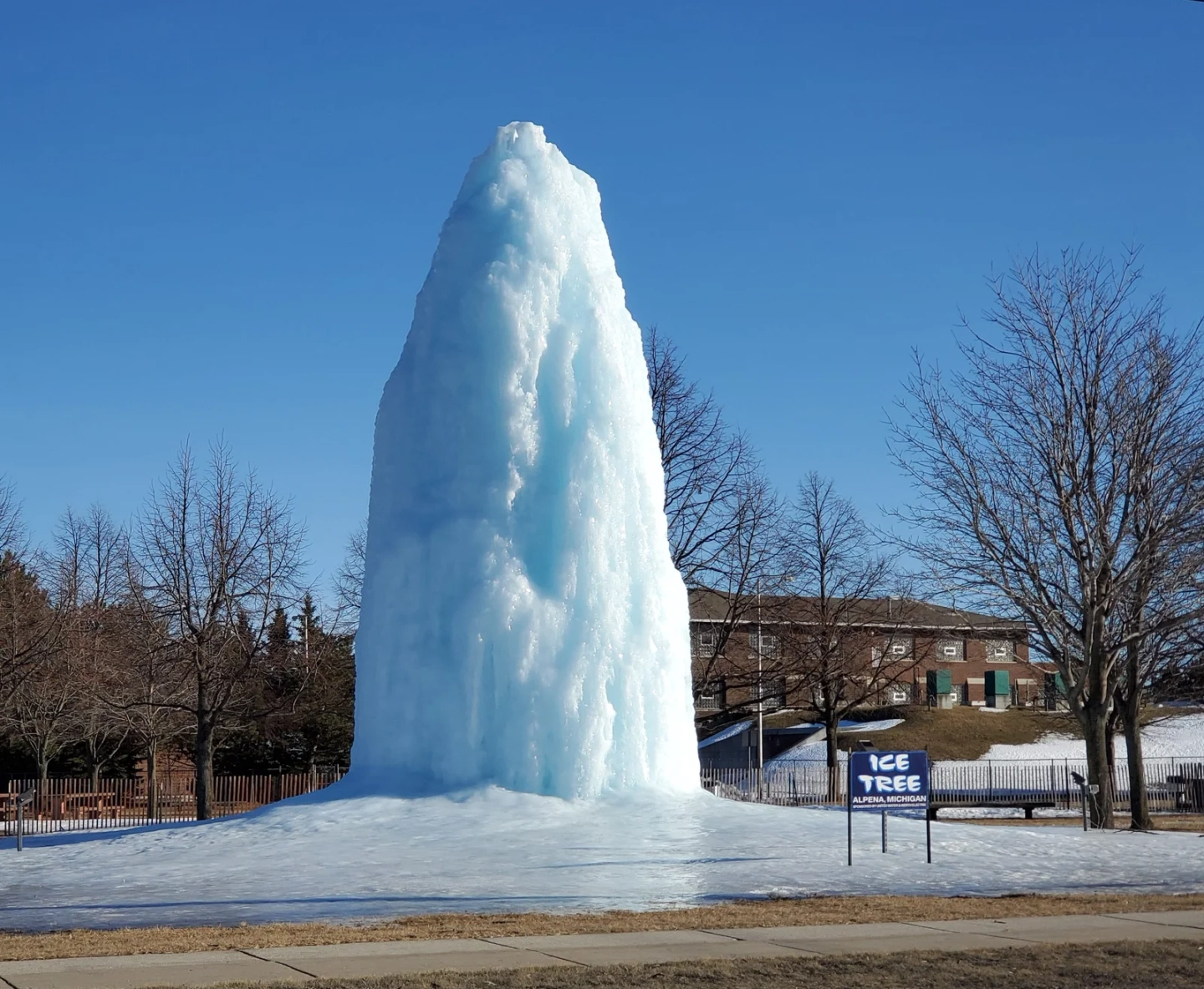 Alpena