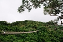 Yalong Bay Tropical Paradise Forest Park
