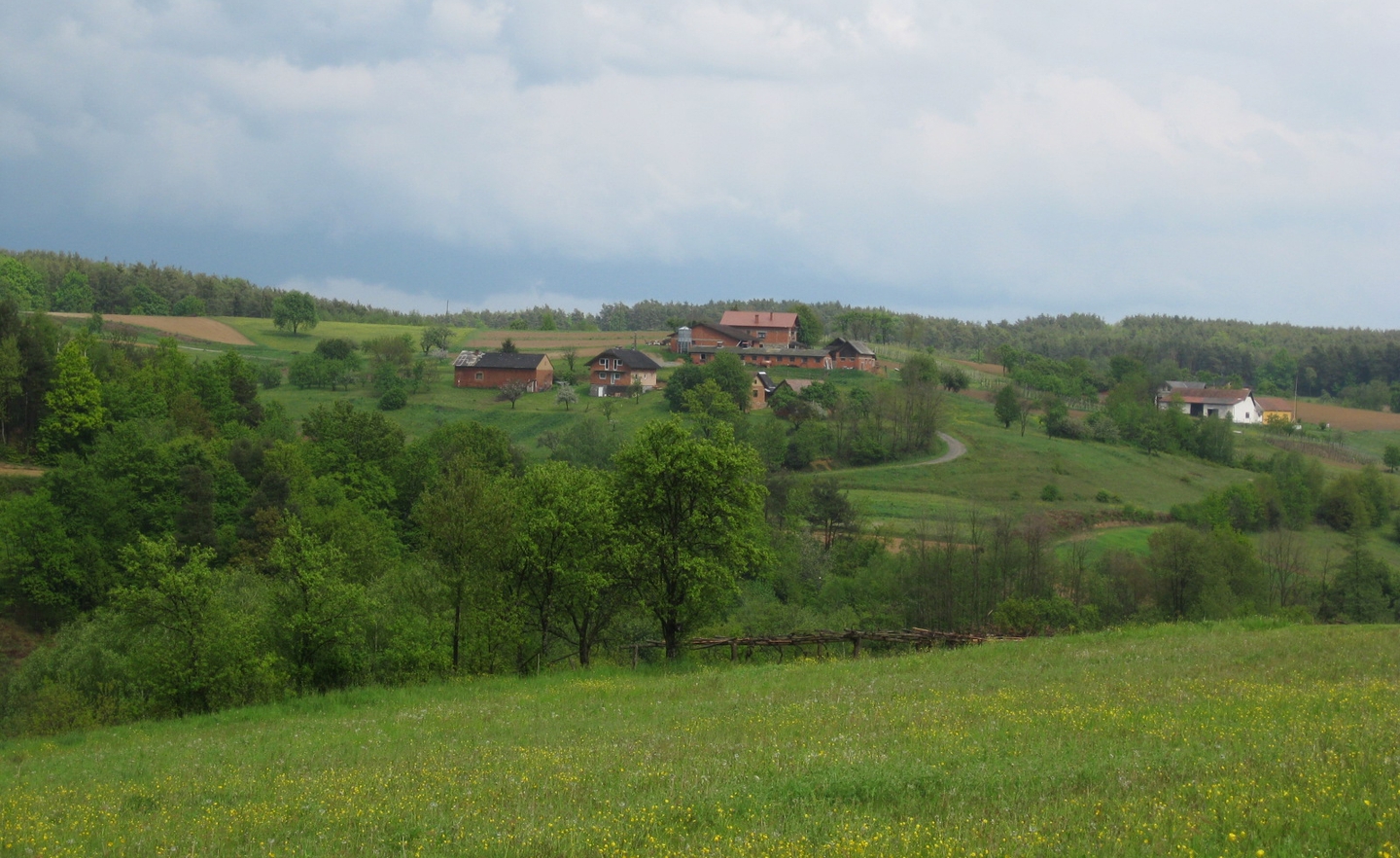 Gornji Petrovci