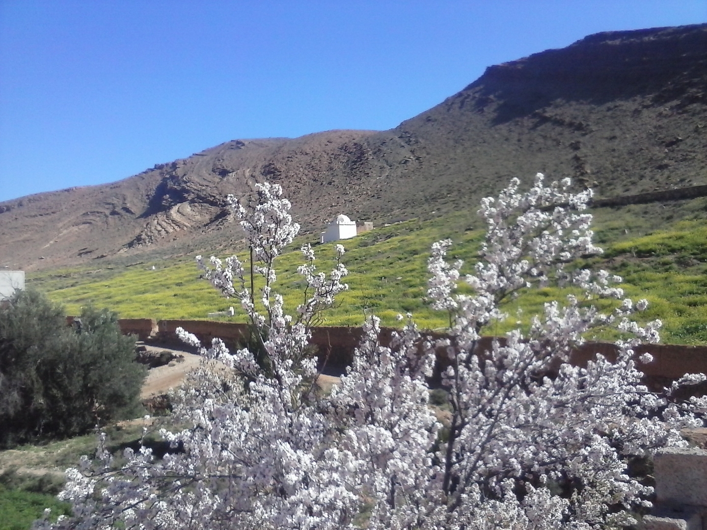 Ifrane Atlas Saghir