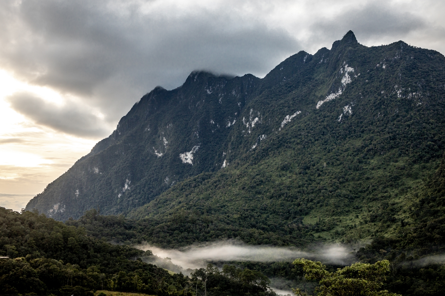 Doi Luang Chiang Dao
