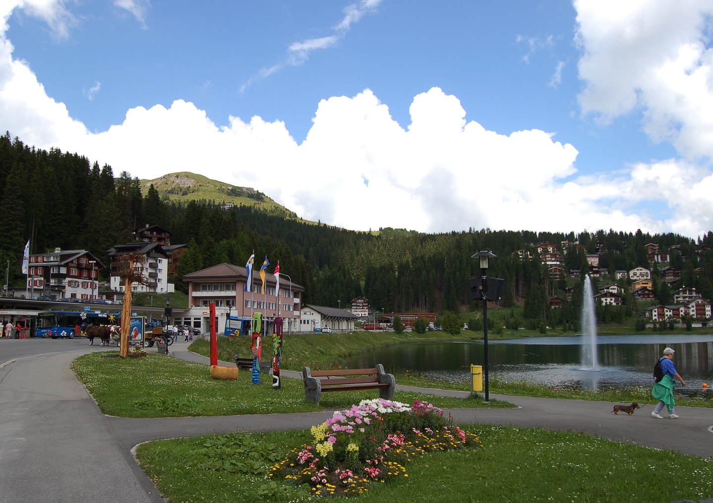 Arosa