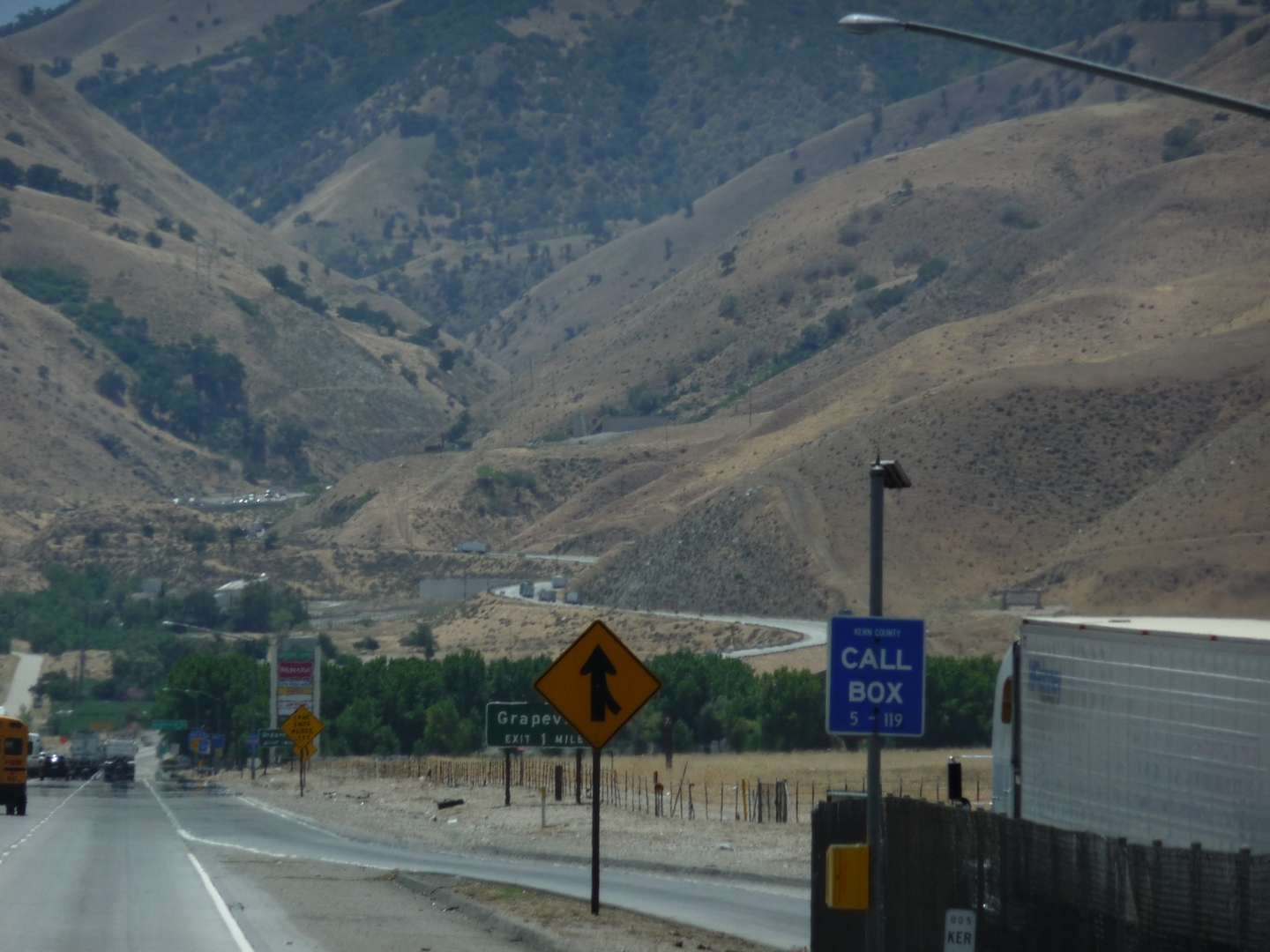 Grapevine