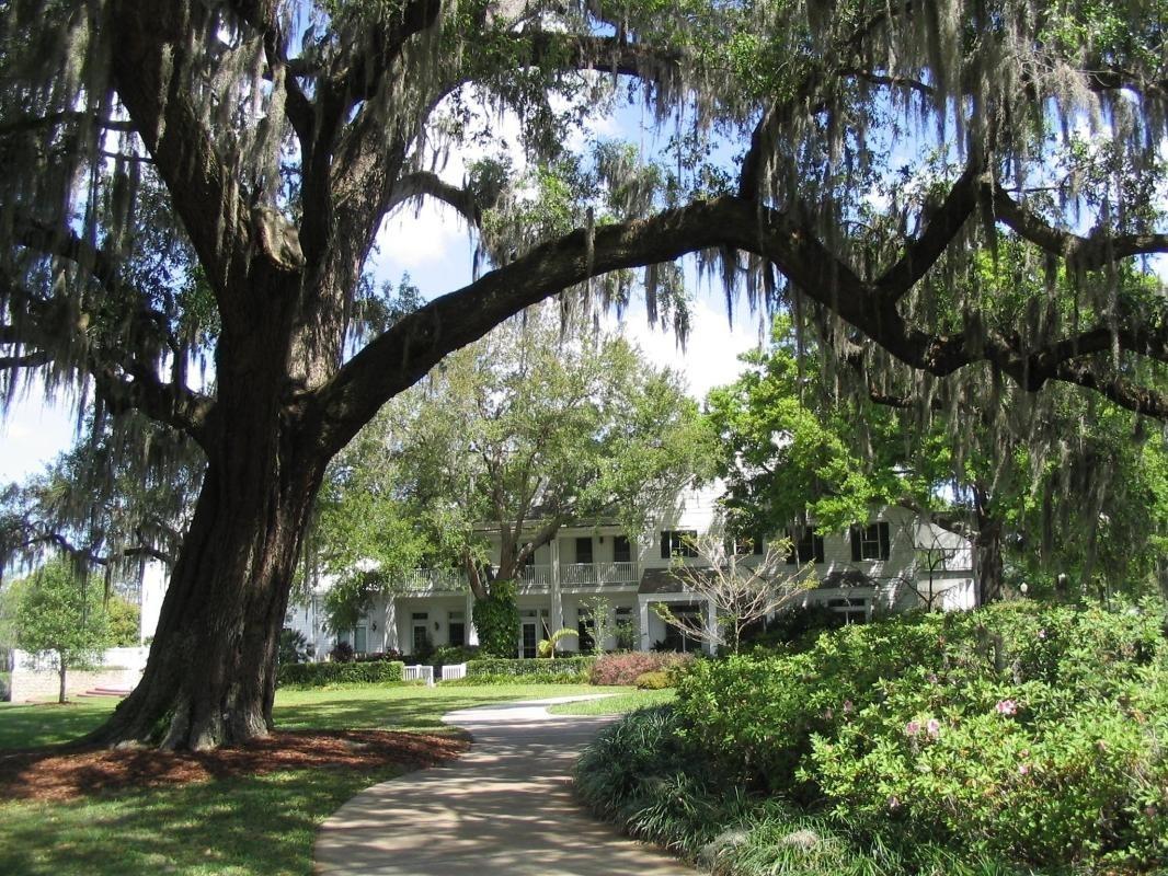 https://media-cdn.tripadvisor.com/media/attractions-content--1x-1/0b/27/55/9b.jpg