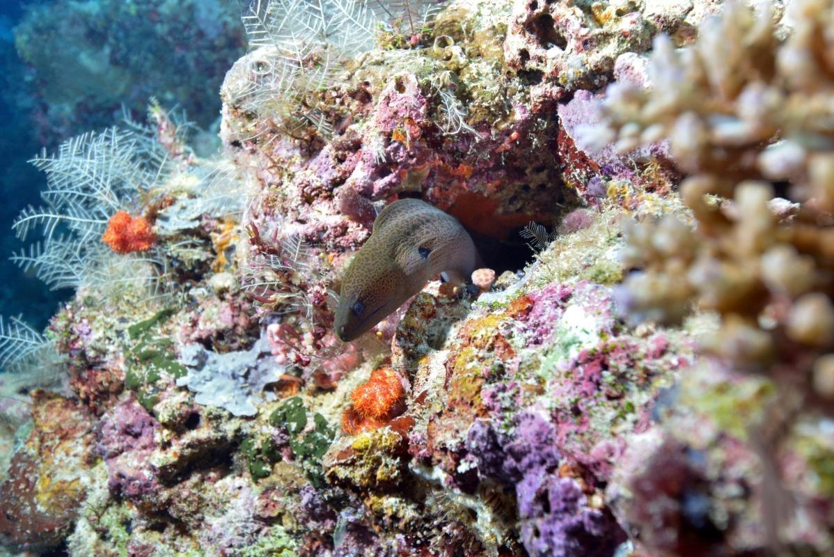 https://media-cdn.tripadvisor.com/media/attractions-content--1x-1/0b/27/59/7e.jpg