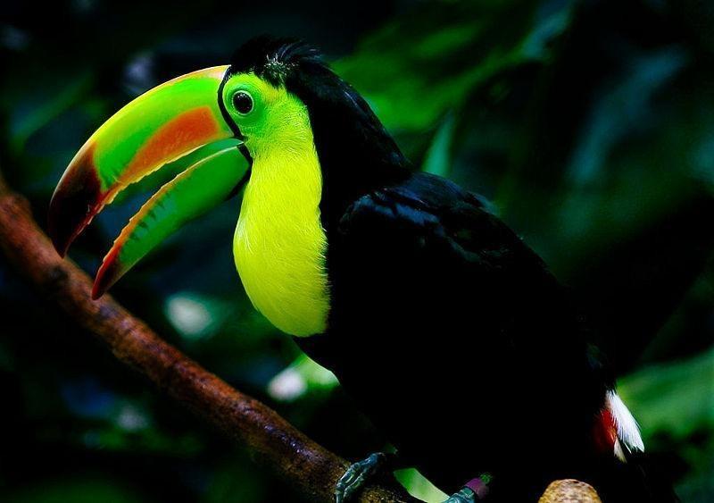 https://media-cdn.tripadvisor.com/media/attractions-content--1x-1/0b/27/5a/8e.jpg