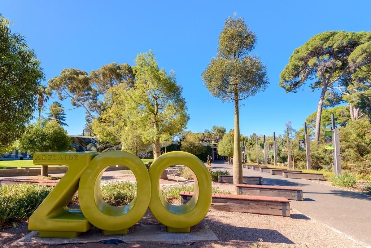 https://media-cdn.tripadvisor.com/media/attractions-content--1x-1/0b/27/5f/60.jpg