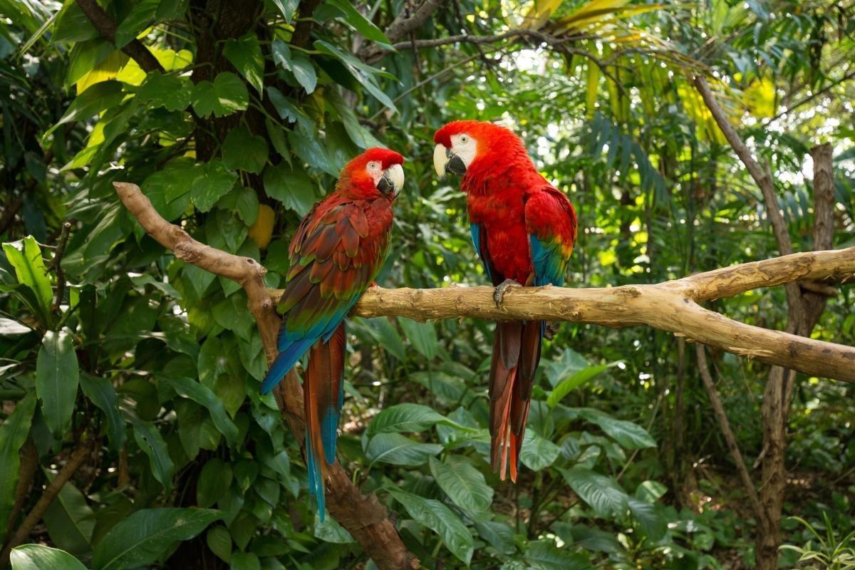 https://media-cdn.tripadvisor.com/media/attractions-content--1x-1/0b/27/60/5a.jpg