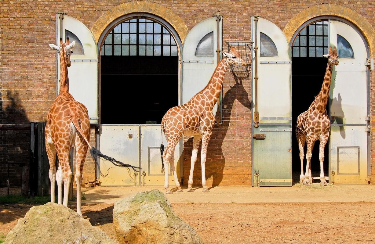 https://media-cdn.tripadvisor.com/media/attractions-content--1x-1/0b/27/60/bf.jpg