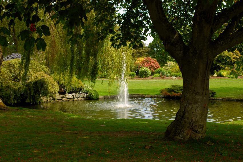 https://media-cdn.tripadvisor.com/media/attractions-content--1x-1/0b/27/6a/26.jpg