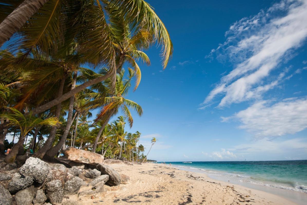 https://media-cdn.tripadvisor.com/media/attractions-content--1x-1/0b/27/6c/3a.jpg