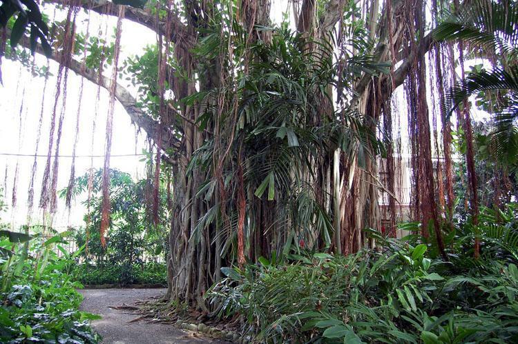 https://media-cdn.tripadvisor.com/media/attractions-content--1x-1/0b/27/6c/ec.jpg