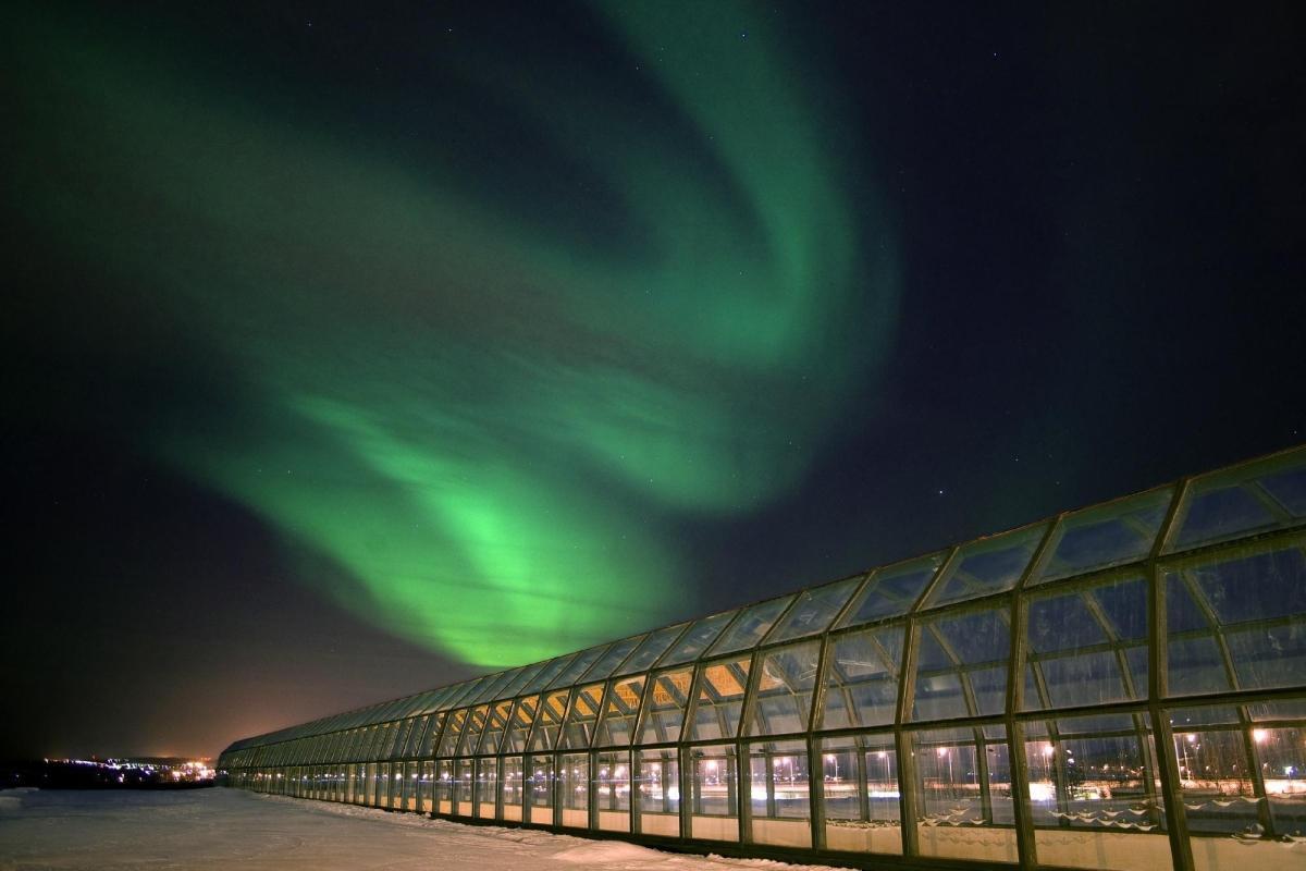 https://media-cdn.tripadvisor.com/media/attractions-content--1x-1/0b/27/6d/8b.jpg