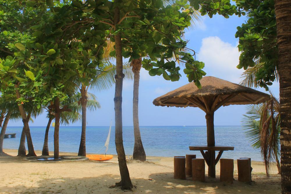 https://media-cdn.tripadvisor.com/media/attractions-content--1x-1/0b/27/80/e2.jpg
