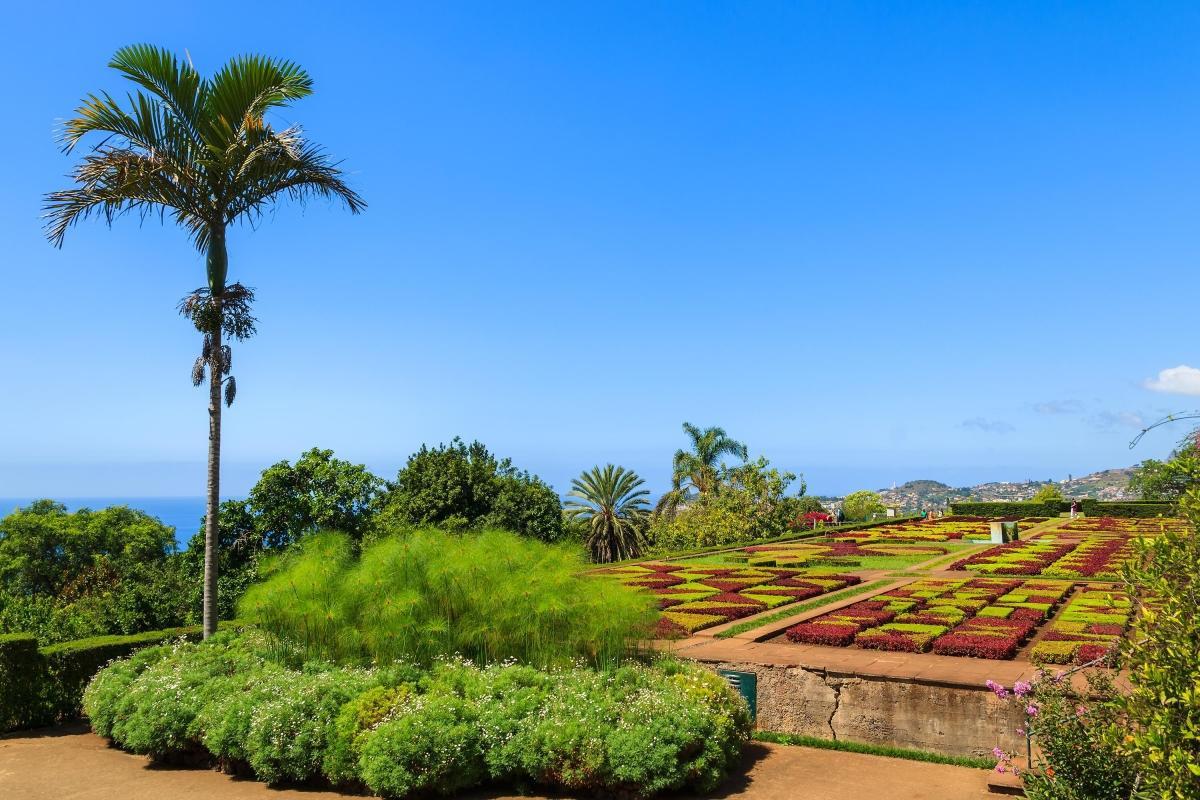 https://media-cdn.tripadvisor.com/media/attractions-content--1x-1/0b/27/a5/4e.jpg