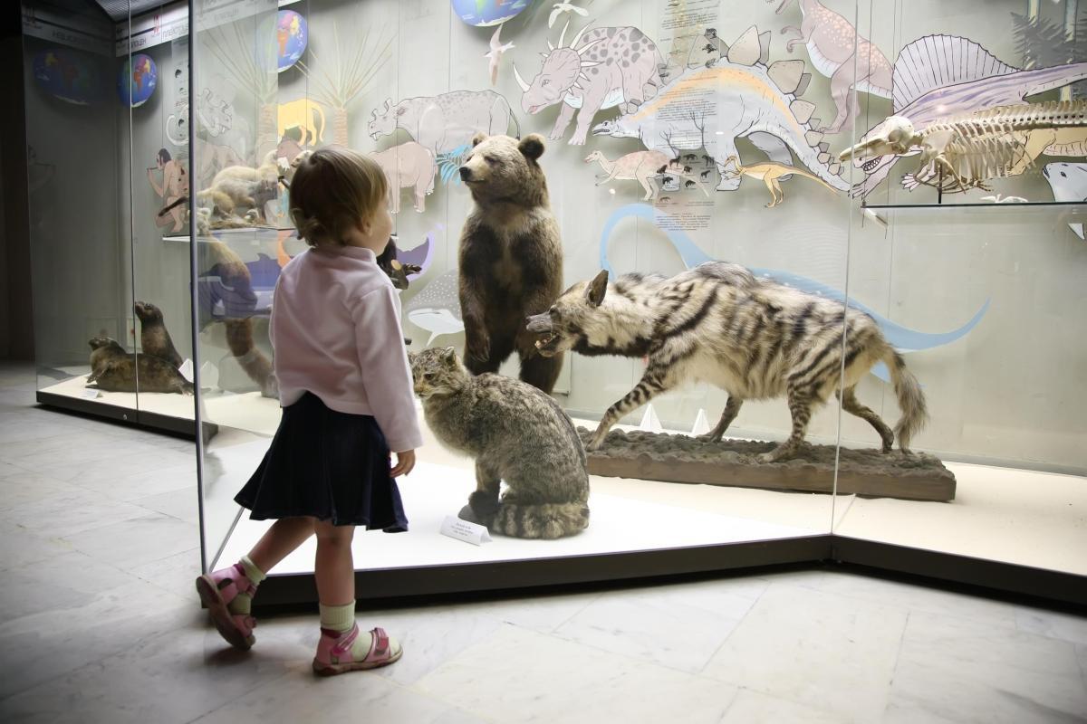 https://media-cdn.tripadvisor.com/media/attractions-content--1x-1/0b/27/ad/ed.jpg