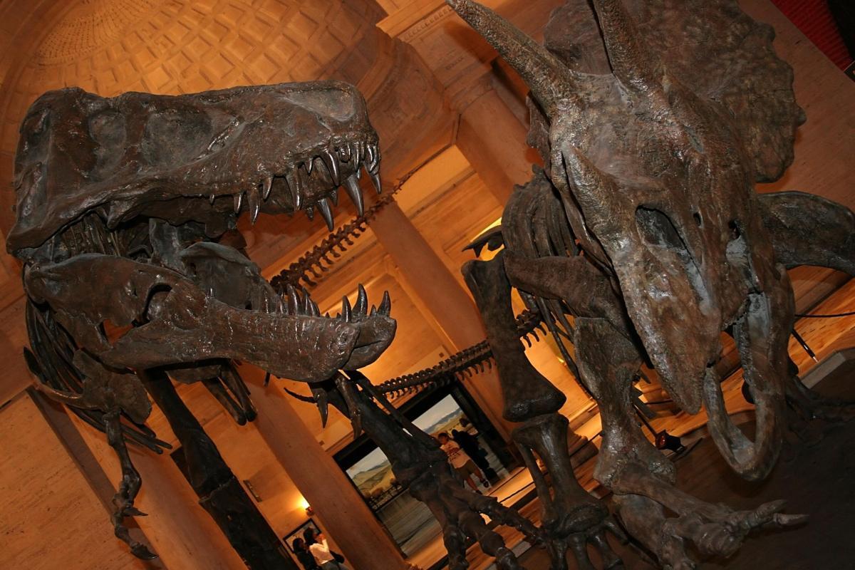 https://media-cdn.tripadvisor.com/media/attractions-content--1x-1/0b/27/af/54.jpg
