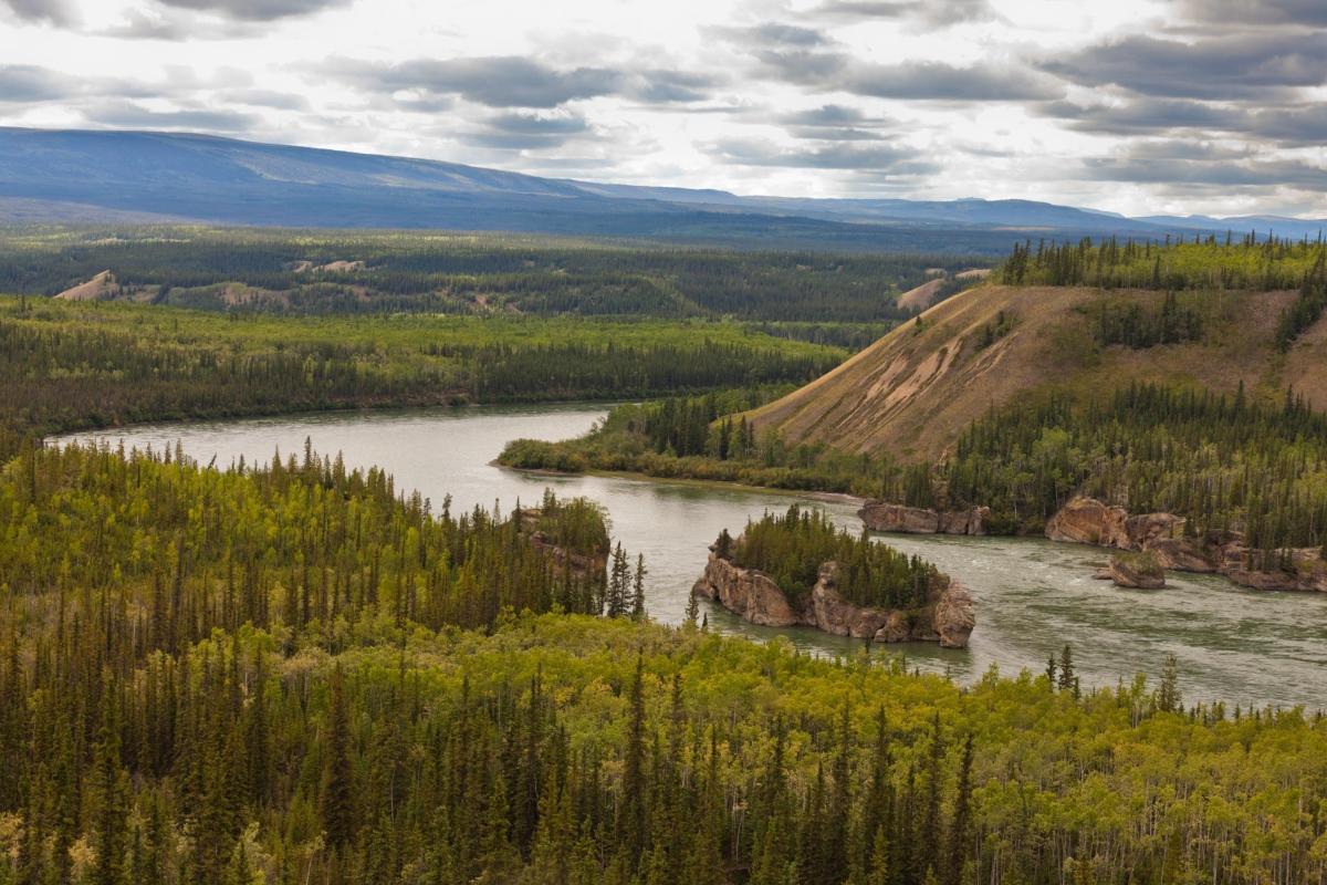 https://media-cdn.tripadvisor.com/media/attractions-content--1x-1/0b/2c/f0/93.jpg