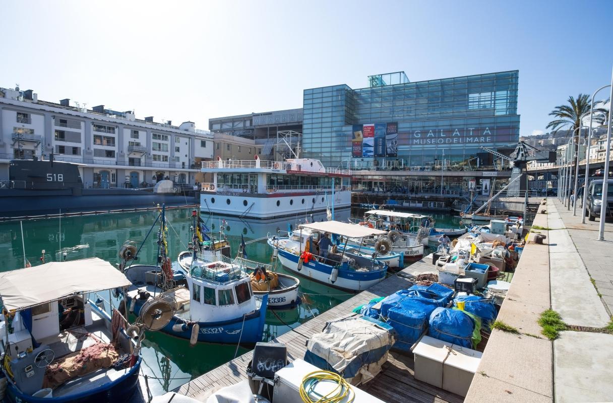 https://media-cdn.tripadvisor.com/media/attractions-content--1x-1/0b/2c/f2/c8.jpg