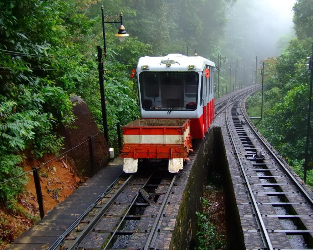 https://media-cdn.tripadvisor.com/media/attractions-content--1x-1/0b/2c/f4/6e.jpg