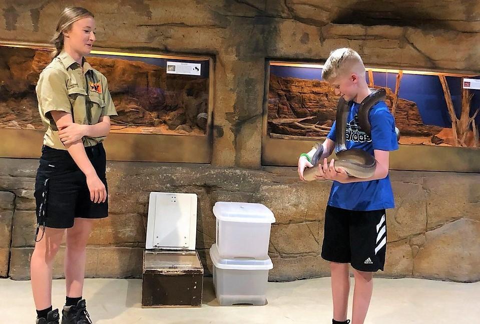 https://media-cdn.tripadvisor.com/media/attractions-content--1x-1/0b/2c/f5/7c.jpg