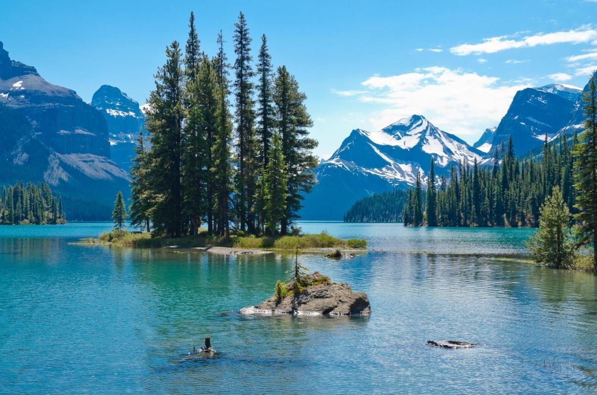 https://media-cdn.tripadvisor.com/media/attractions-content--1x-1/0b/2c/f6/d7.jpg