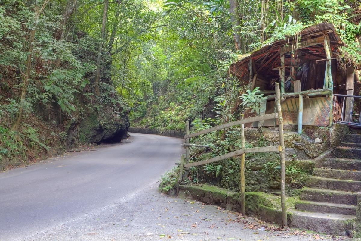 https://media-cdn.tripadvisor.com/media/attractions-content--1x-1/0b/2c/f7/4f.jpg