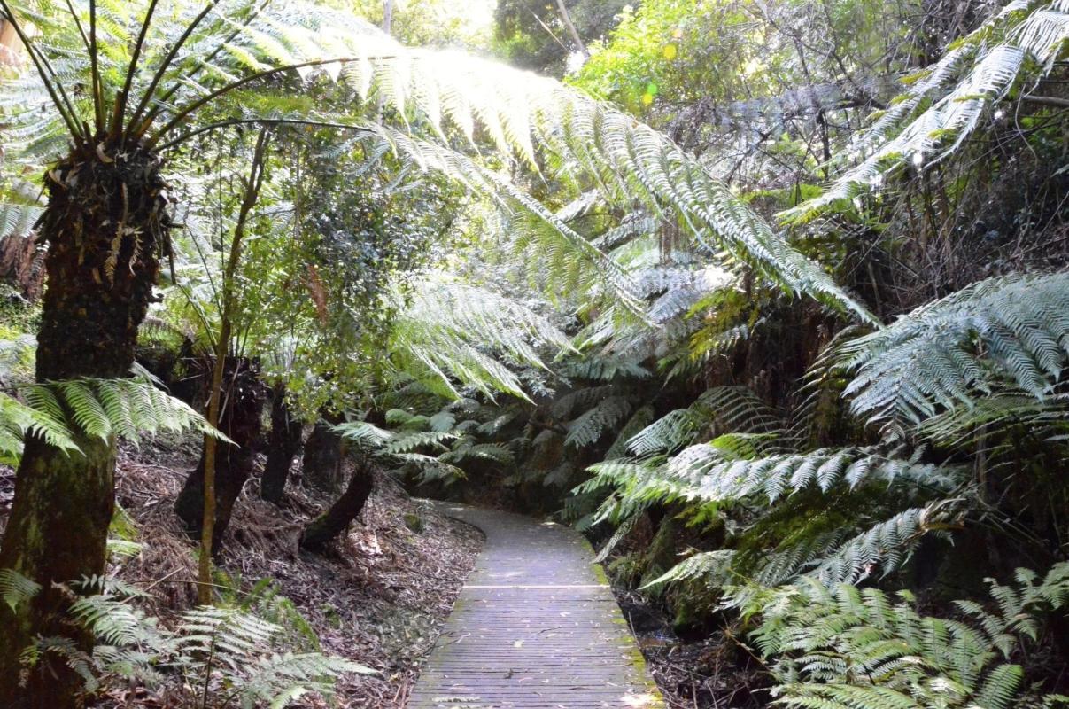 https://media-cdn.tripadvisor.com/media/attractions-content--1x-1/0b/2c/fa/c5.jpg