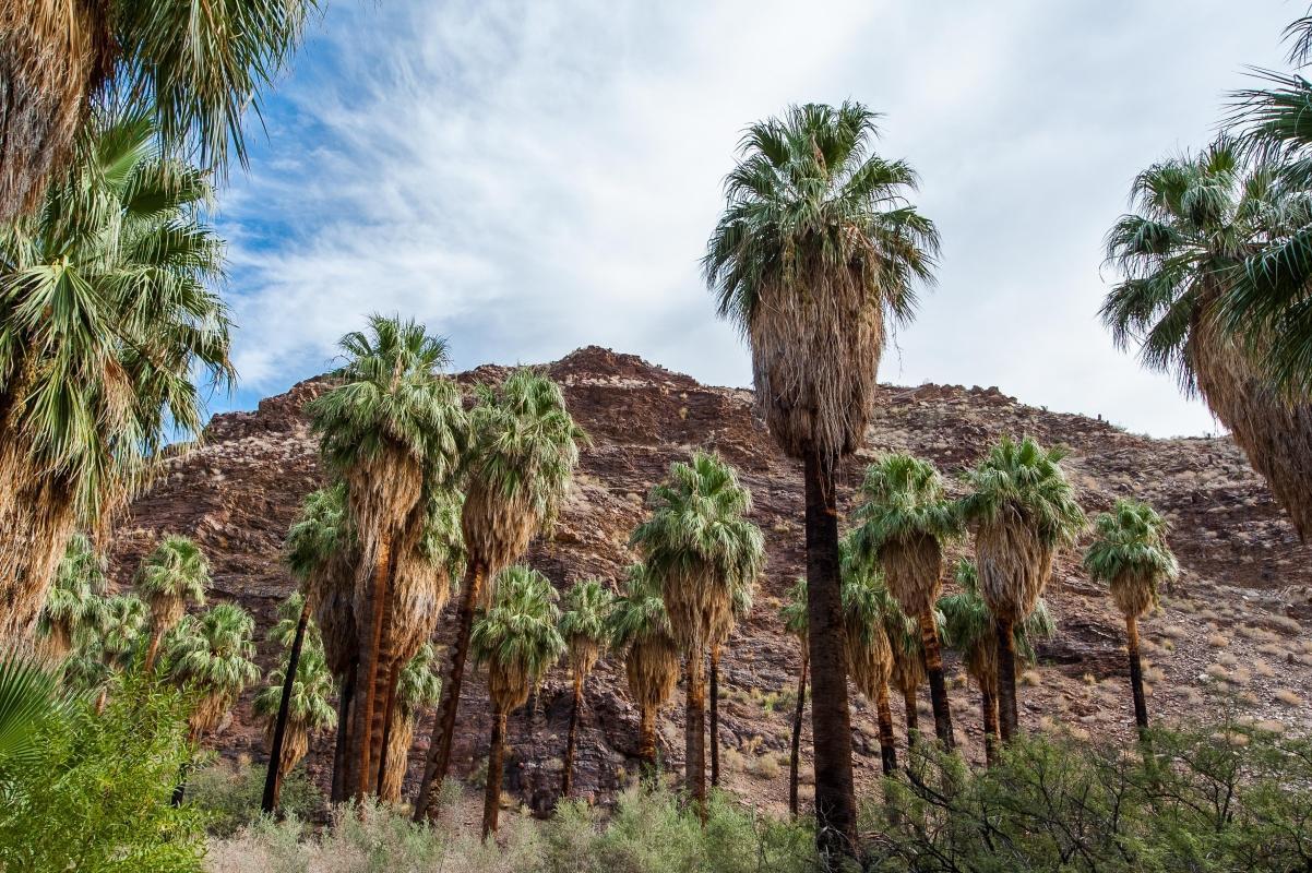 https://media-cdn.tripadvisor.com/media/attractions-content--1x-1/0b/2c/fd/d2.jpg