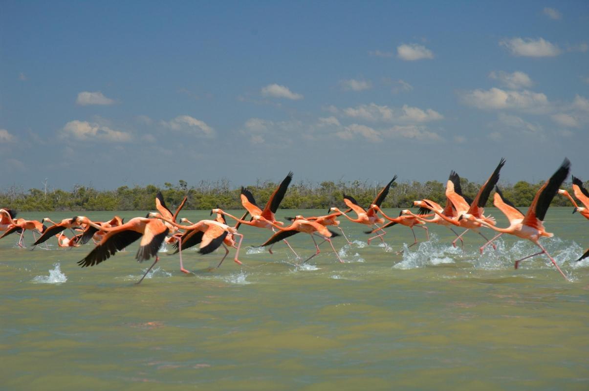 https://media-cdn.tripadvisor.com/media/attractions-content--1x-1/0b/2d/04/7a.jpg