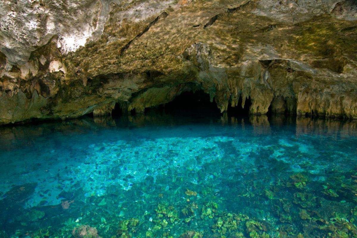https://media-cdn.tripadvisor.com/media/attractions-content--1x-1/0b/2d/05/8d.jpg