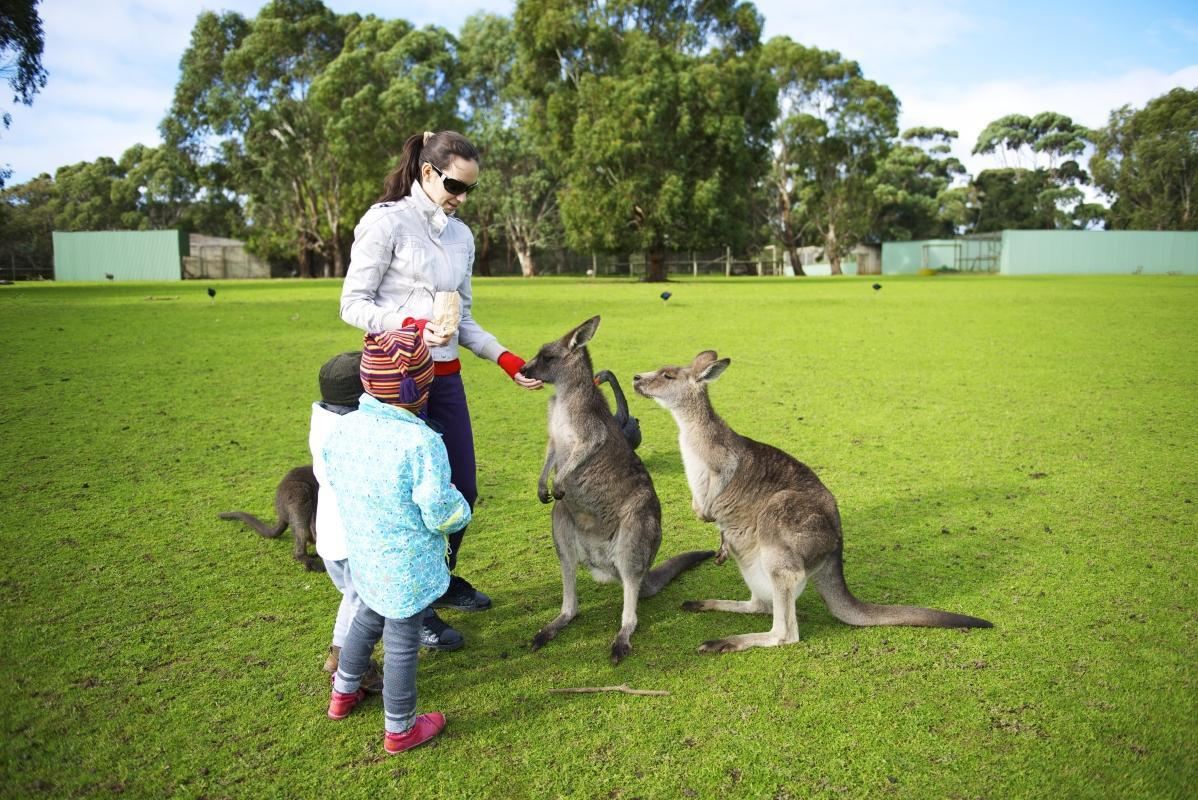 https://media-cdn.tripadvisor.com/media/attractions-content--1x-1/0b/2d/13/ce.jpg
