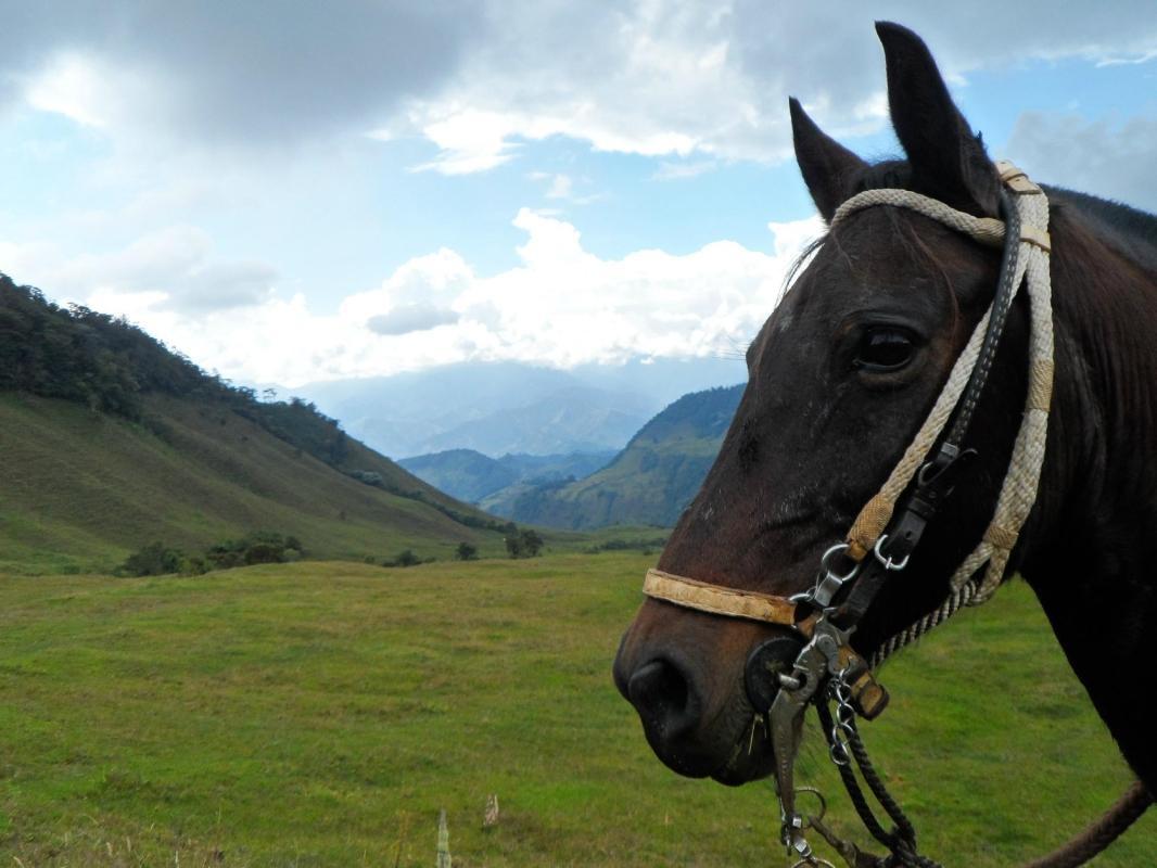 https://media-cdn.tripadvisor.com/media/attractions-content--1x-1/0b/2d/15/75.jpg