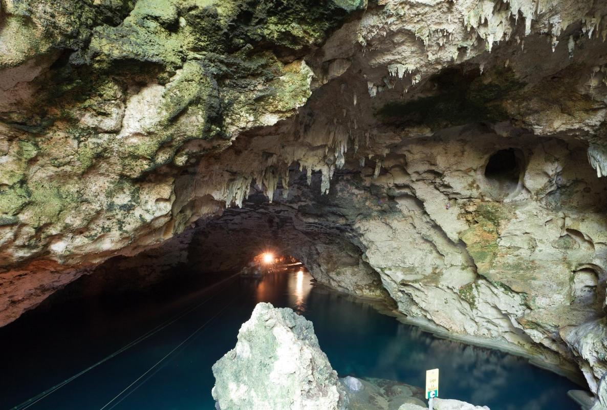 https://media-cdn.tripadvisor.com/media/attractions-content--1x-1/0b/39/7a/db.jpg