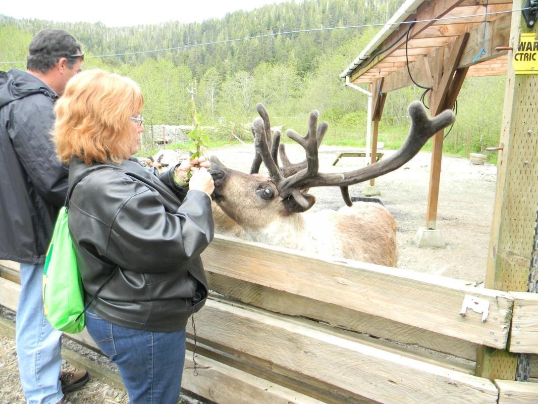 https://media-cdn.tripadvisor.com/media/attractions-content--1x-1/0b/39/7c/26.jpg