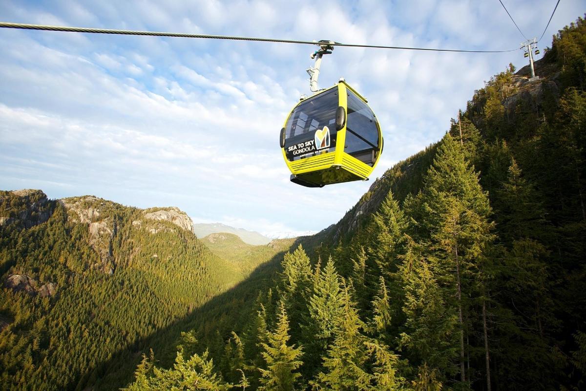 https://media-cdn.tripadvisor.com/media/attractions-content--1x-1/0b/39/7f/cd.jpg