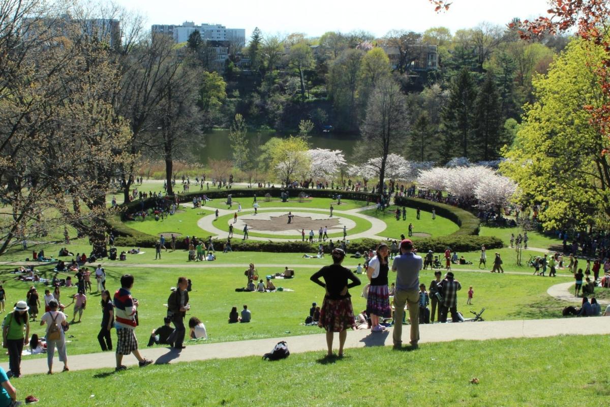 https://media-cdn.tripadvisor.com/media/attractions-content--1x-1/0b/39/80/de.jpg