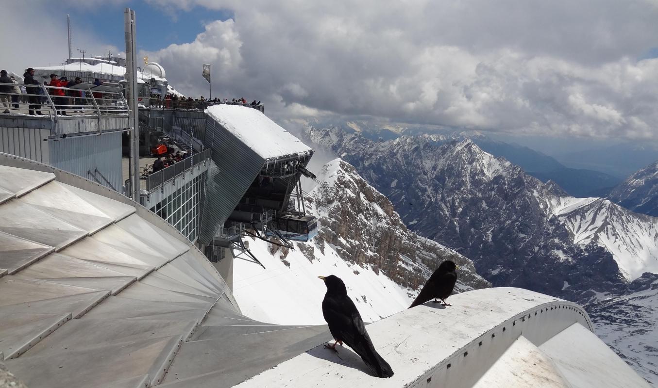 https://media-cdn.tripadvisor.com/media/attractions-content--1x-1/0b/39/86/da.jpg
