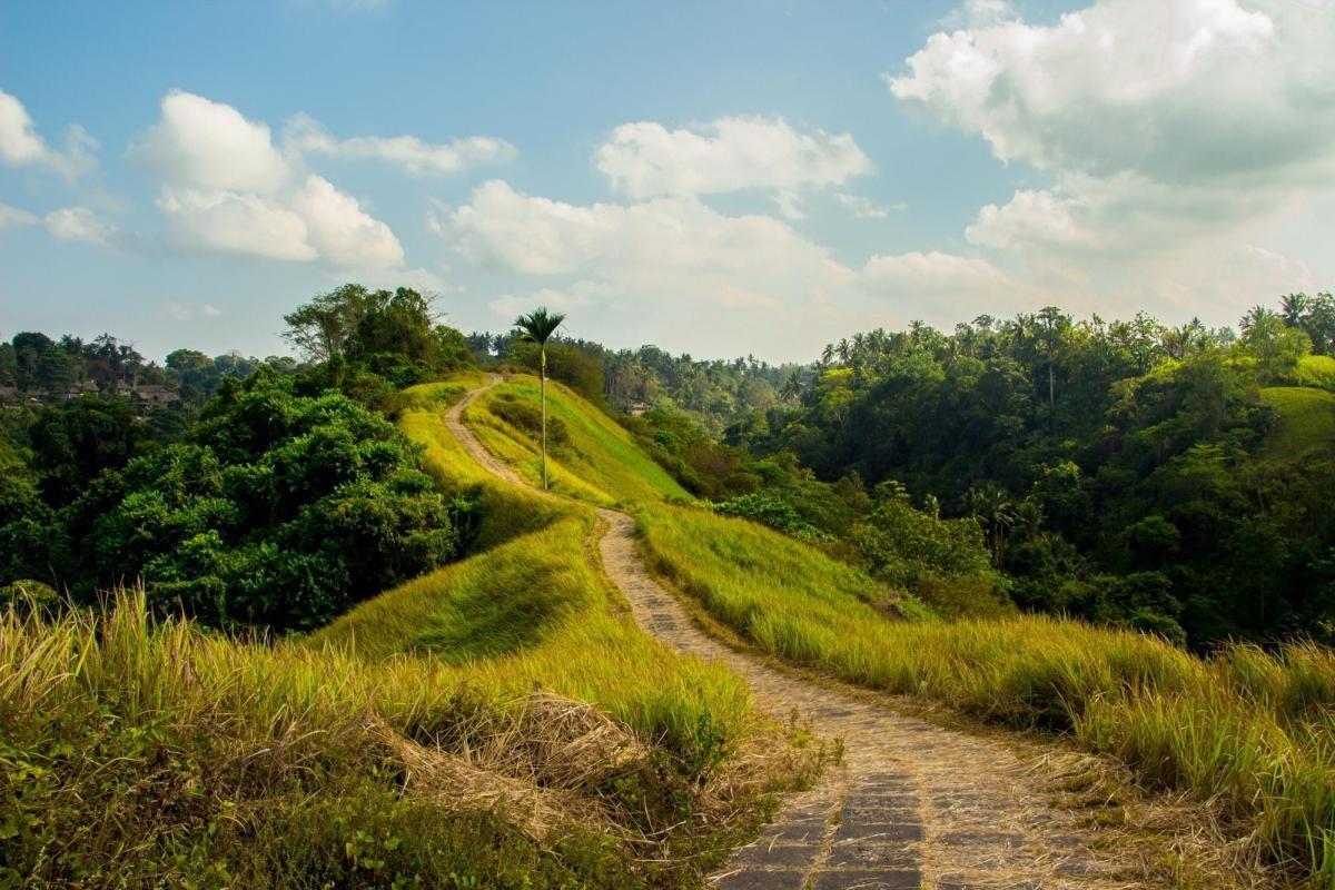 https://media-cdn.tripadvisor.com/media/attractions-content--1x-1/0b/39/8e/72.jpg