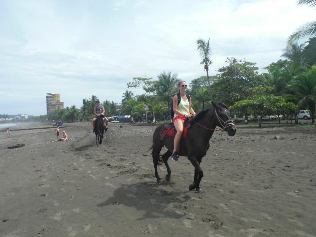 https://media-cdn.tripadvisor.com/media/attractions-content--1x-1/0b/39/9d/6d.jpg