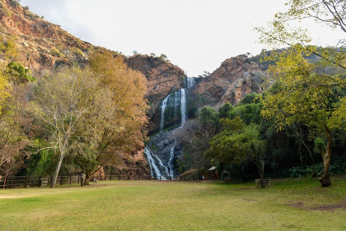 https://media-cdn.tripadvisor.com/media/attractions-content--1x-1/0b/39/9e/59.jpg