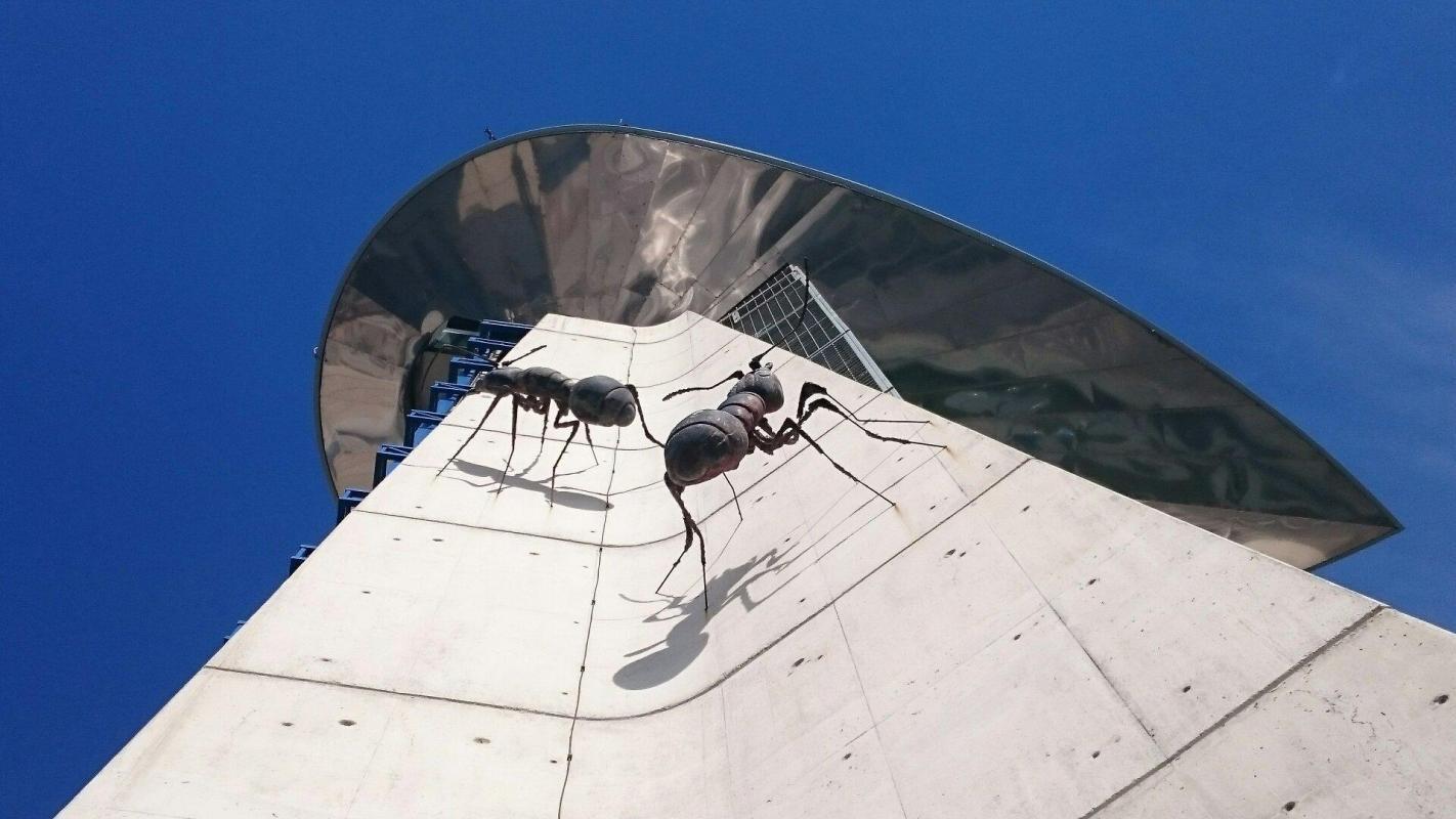 https://media-cdn.tripadvisor.com/media/attractions-content--1x-1/0b/39/9f/80.jpg