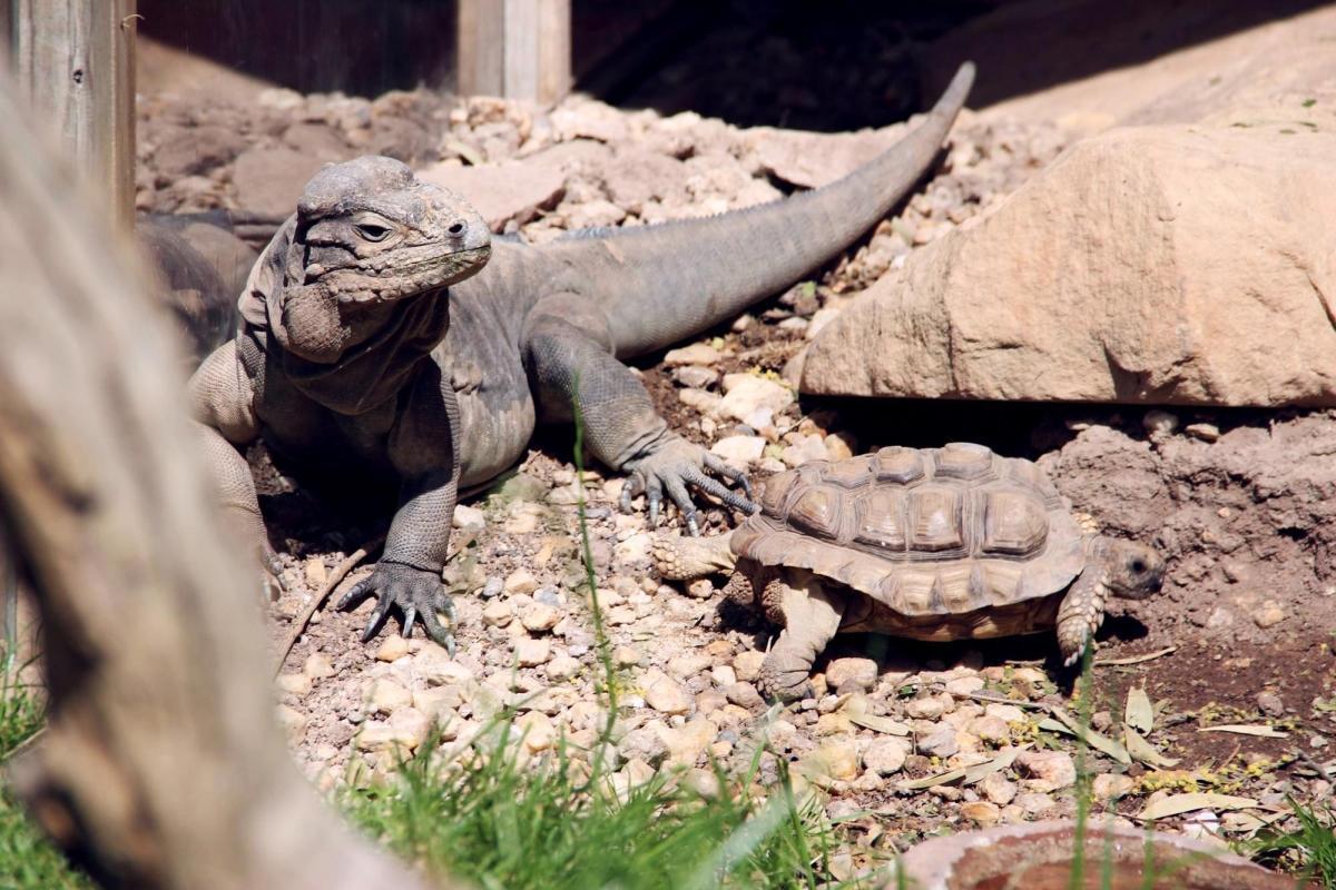 https://media-cdn.tripadvisor.com/media/attractions-content--1x-1/0b/39/a3/a5.jpg