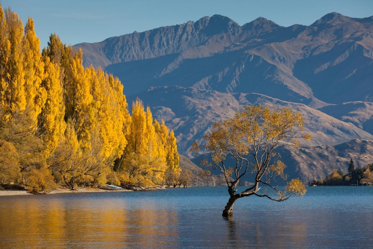 https://media-cdn.tripadvisor.com/media/attractions-content--1x-1/0b/39/ab/f2.jpg