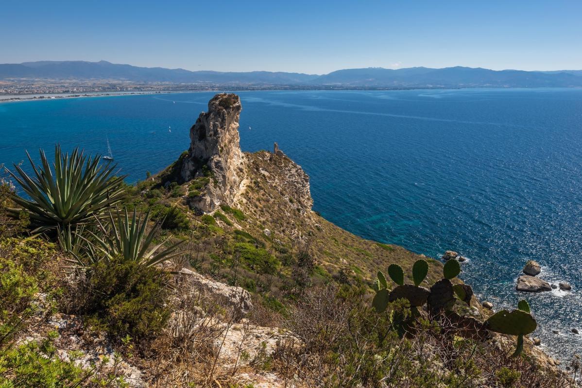 https://media-cdn.tripadvisor.com/media/attractions-content--1x-1/0b/39/ac/d7.jpg