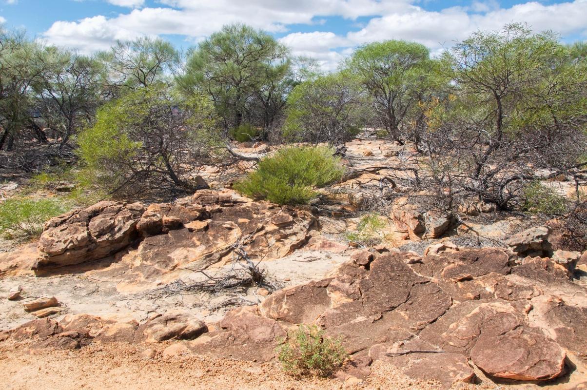 https://media-cdn.tripadvisor.com/media/attractions-content--1x-1/0b/39/ad/08.jpg