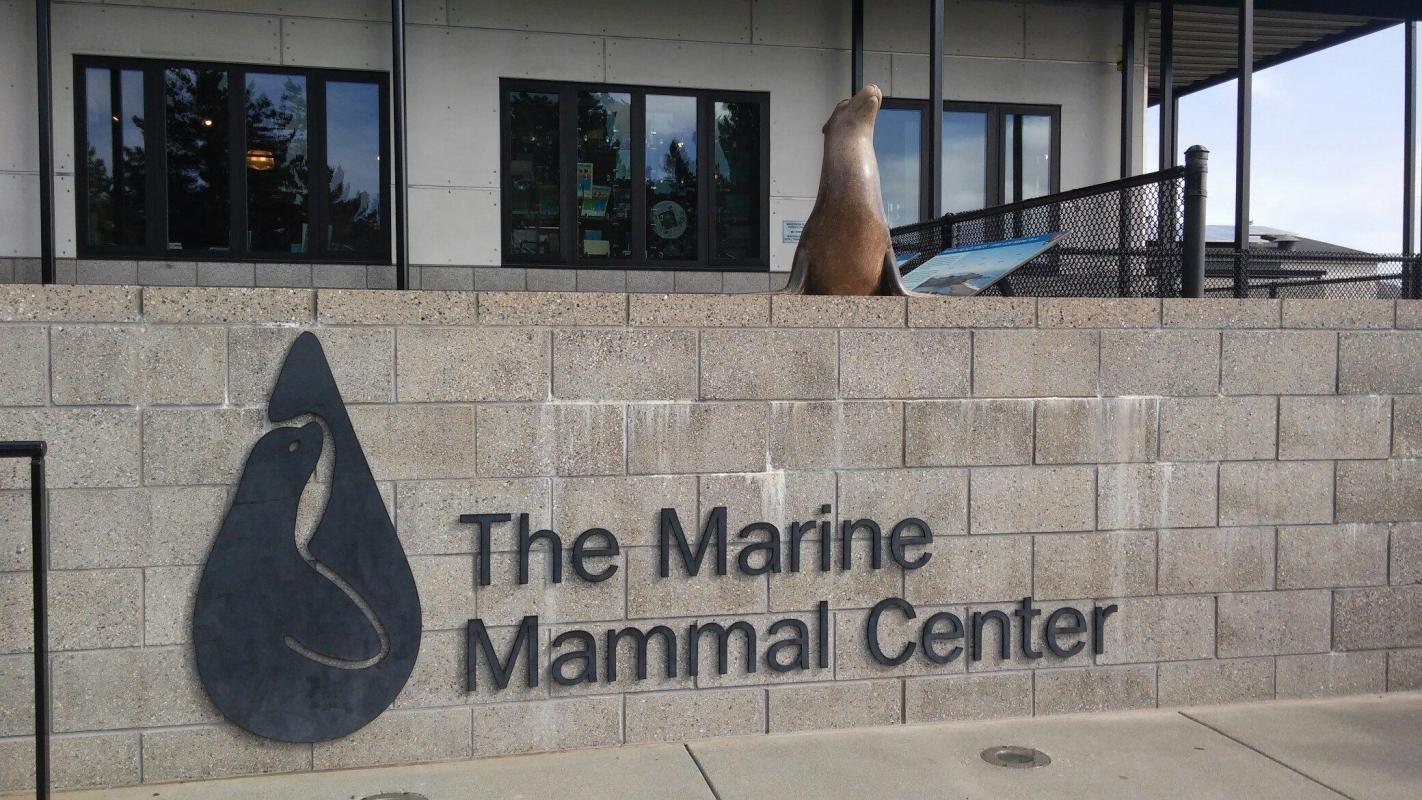 https://media-cdn.tripadvisor.com/media/attractions-content--1x-1/0b/39/ad/9c.jpg