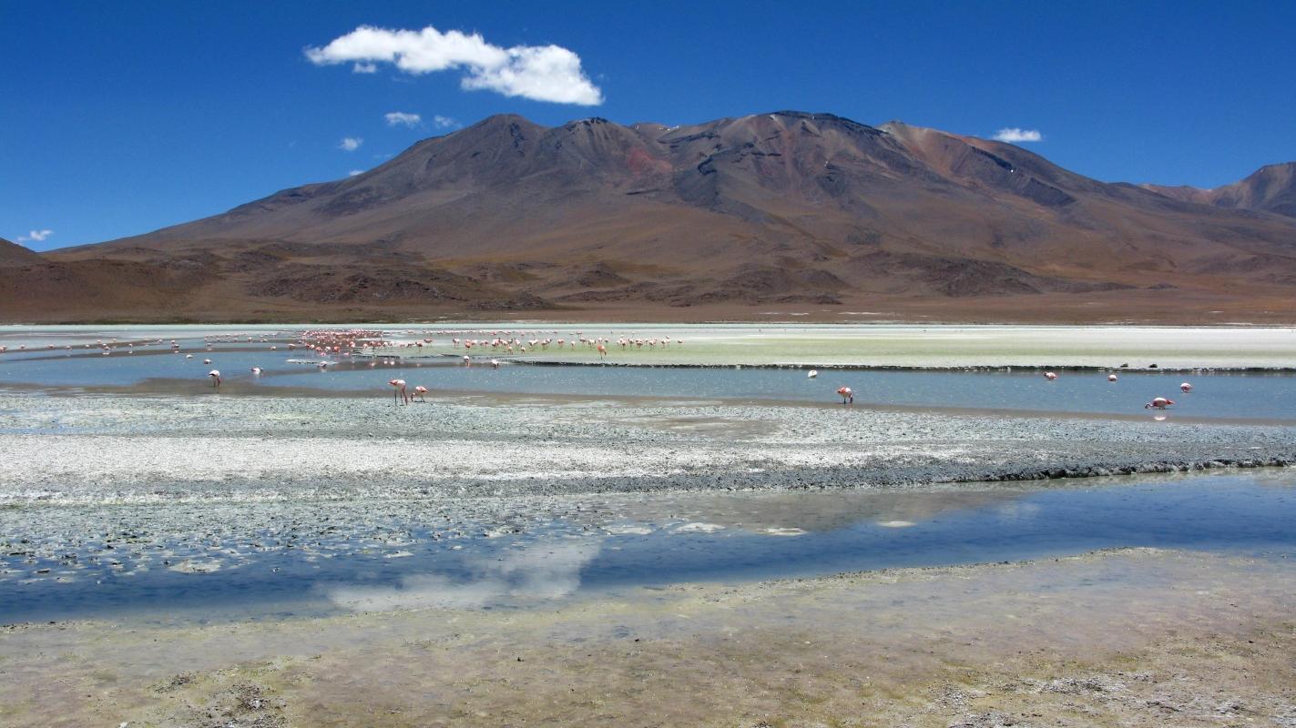 https://media-cdn.tripadvisor.com/media/attractions-content--1x-1/0b/39/ae/ac.jpg