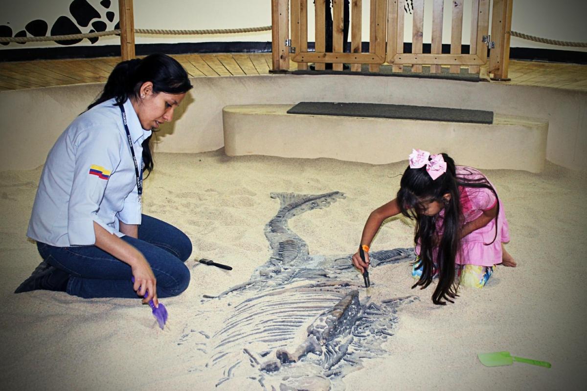 https://media-cdn.tripadvisor.com/media/attractions-content--1x-1/0b/39/af/43.jpg