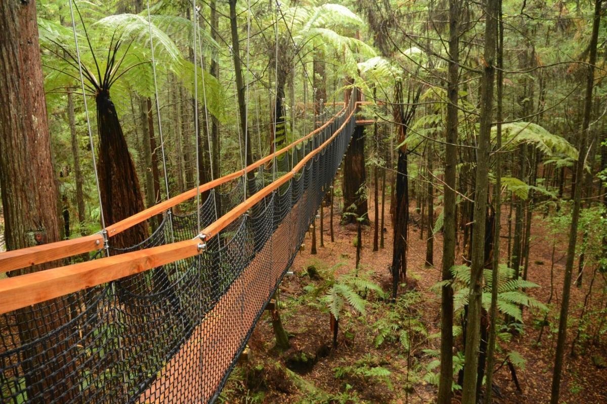 https://media-cdn.tripadvisor.com/media/attractions-content--1x-1/0b/39/af/51.jpg